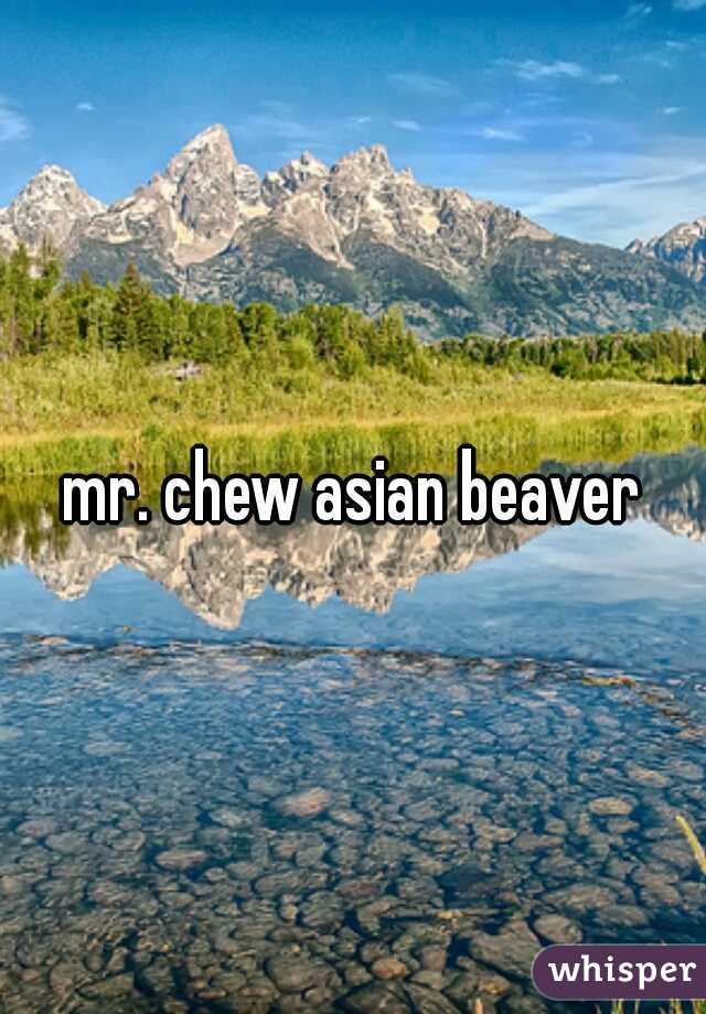 asian beavers chewy
